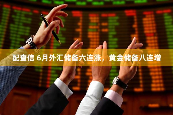 配查信 6月外汇储备六连涨，黄金储备八连增