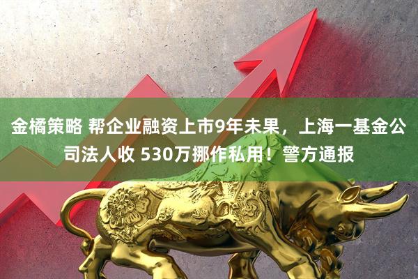 金橘策略 帮企业融资上市9年未果，上海一基金公司法人收 530万挪作私用！警方通报