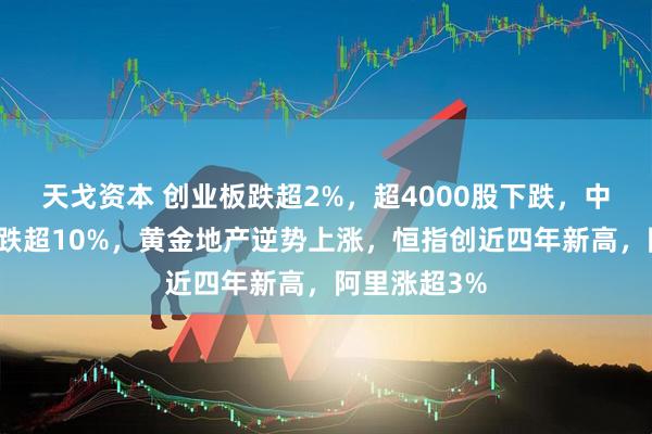 天戈资本 创业板跌超2%，超4000股下跌，中芯国际复牌跌超10%，黄金地产逆势上涨，恒指创近四年新高，阿里涨超3%