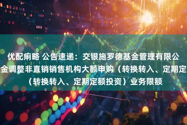 优配痢略 公告速递：交银施罗德基金管理有限公司关于交银货币基金调整非直销销售机构大额申购（转换转入、定期定额投资）业务限额
